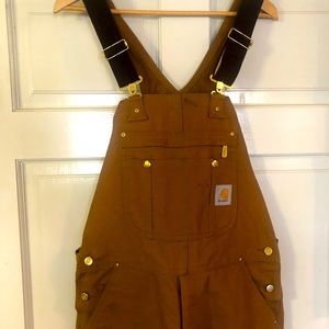 NEW Carhartt Men's Flame Resident Duck Bib Overall 38/32
